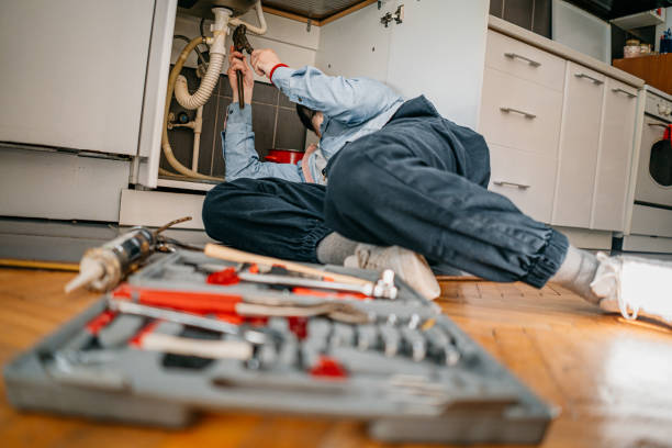 Best Local Plumber Services  in Etna, PA